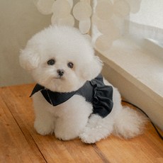 바비스영 강아지 아무르 하네스 + 리드줄 세트, 블랙, 1세트