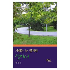 기대는 늘 꿈처럼 살아서, 그리심, 양창삼