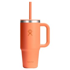 하이드로플라스크 올어라운드 트래블 텀블러, 넥타르 오렌지, 1개, 709ml