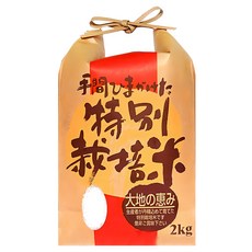 Well Life 悅生活 谷穗 山梨縣牛奶皇后米 100%日本直送, 2kg, 1個, 特A級