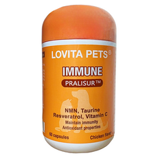 Lovita PETS 愛維他寵物熟齡守護膠囊 490mg, 1個, 老年, 60顆