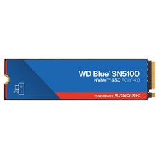 샌디스크 WD M.2 NVMe SSD Blue, SN5100, 500GB
