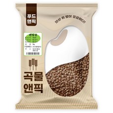 푸드앤픽 곡물앤픽 갈색 렌틸콩, 5kg, 1개