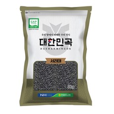 농협 대한민곡 서리태, 4kg, 1개