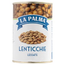 라팔마 렌틸빈, 400g, 1개