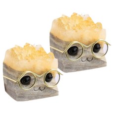 德普羅商務 室內裝飾品 感性可愛石頭 寵物狗金邊眼鏡石 2入, 混合顏色