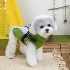 쿠펫츠 강아지 겨울 패딩 조끼, 그린, 1개