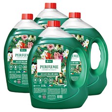 GIOCLEAN 香氛花香洗衣精 正裝, 4個, 2.5L