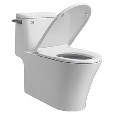 DS바스 원피스 양변기 DSC867E 방문설치, 화이트