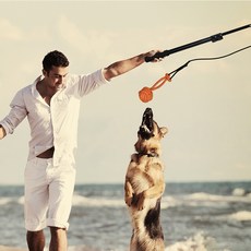 REDPUPPY Ricious 釣魚拉扯玩具, 黑色, 1個