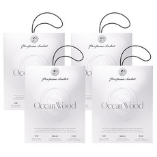 The Class 香氛袋 車用芳香劑, 4個, 海洋木質