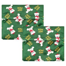 핫픽 포켓형 따뜻하곰 휴대용 프리미엄 극세사 핫팩 파우치 그린 대형, 2개