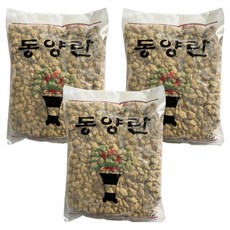 SN 난석 휴가토 중립, 3개, 1.5L