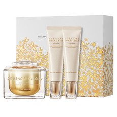 네이처리퍼블릭 진생 로얄 실크 워터리 크림 위드 아이크림 3종 세트, 1세트