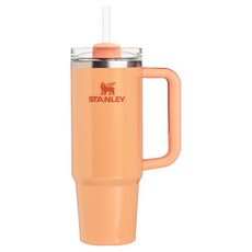 스탠리 퀜처 H2.0 플로우 스테이트 텀블러, 벨리니 쉬머, 887ml, 1개
