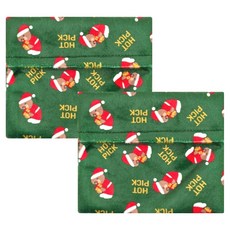 핫픽 따뜻하곰 휴대용 프리미엄 극세사 포켓용 핫팩 파우치 대형 클래식 그린, 2개