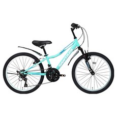 산타자 덱스트SF 22 MTB 스틸 림 브레이크 13.9kg 방문설치, 민트, 1개, 145cm
