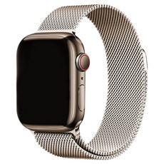 워치스탠다드 마그네틱 밀레니즈루프 스트랩 42 / 44 / 45 / 46 / 49mm, 스타라이트, 1개