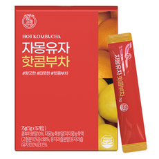 힐스랩 자몽유자 핫콤부차, 5g, 15개입, 1개