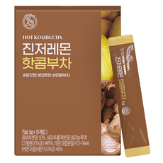힐스랩 진저레몬 핫콤부차, 5g, 15개입, 1개