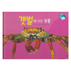 갯벌에 사는 동물 : 물을 좋아하는 동물 - 플러스업 자연속으로 양장, 여원키즈탄탄(D), 꿈꾸는 초록이, 이희정, 없음