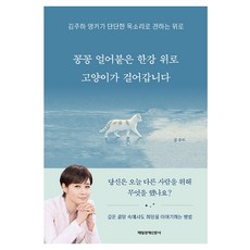 꽁꽁 얼어붙은 한강 위로 고양이가 걸어갑니다:김주하 앵커가 단단한 목소리로 전하는 위로, 김주하 저, 매일경제신문사 김주하 저, 매일경제신문사