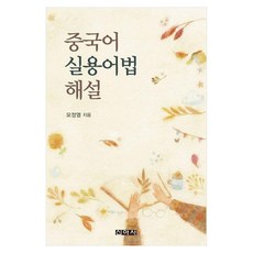 Shinasa 中文實用語法解說