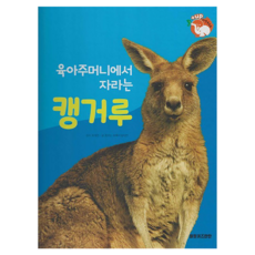 육아 주머니에서 자라는 캥거루 +up 자연속으로 양장, 여원키즈탄탄(D), 꿈꾸는 초록이, 임지연