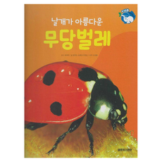 날개가 아름다운 무당벌레 양장, 키즈탄탄