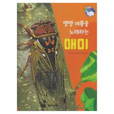 MaeMae 歌唱夏天的蟬 精裝, Kids Tantan