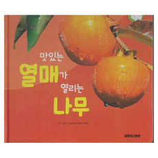 맛있는 열매가 열리는 나무 양장, 키즈탄탄