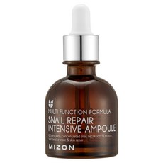 미즈온 스네일 리페어 인텐시브 앰플, 1개, 30ml