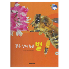 꿀을 찾아 붕붕 벌 양장, 여원키즈탄탄(D)