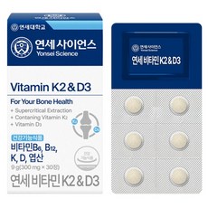 연세생활건강 연세사이언스 연세 비타민 K2&D3 30p, 9g, 1개