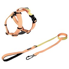 분독 오리지널 리쉬 1.4m + 플레이 하네스 세트, 피치, 1개