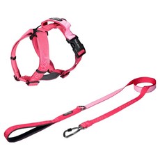 분독 오리지널 리쉬 1.4m + 플레이 하네스 세트, 스트로베리, 1개