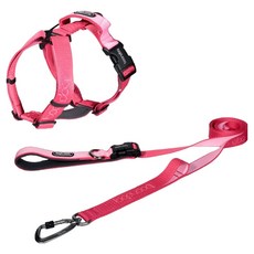 분독 플레이리쉬 롱리드줄 2m + 플레이 하네스 세트, 스트로베리, 1개