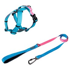 분독 플레이리쉬 롱리드줄 320cm + 플레이 하네스 세트, 아쿠아핑크, 1세트