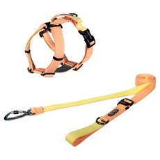 분독 플레이리쉬 롱리드줄 320cm + 플레이 하네스 세트, 피치, 1세트