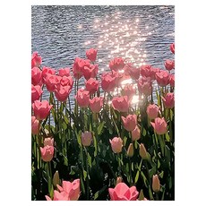 EUMES DIY 居家愛好 迷你油畫套組 40 x 50 cm, 1個, 波光與鬱金香