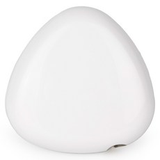 PLEIGO UV C LED 휴대용 충전식 조약돌 칫솔 살균기, 화이트, TS110