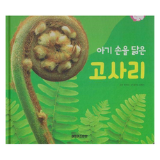 아기손을 닮은 고사리 양장, 여원키즈탄탄(D)null, 키즈탄탄, 없음null