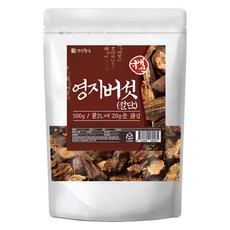 건강중심 국내산 절단 영지버섯, 1개, 500g