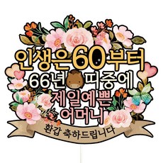 비비드레인 환갑 칠순 케이크토퍼, A01-인생은60(환갑-어머니), 1개