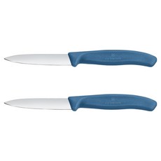 빅토리녹스 클래식 일자날 과도 블루 8cm 6.7602.2C1