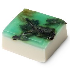 러쉬 셀키 솝, 100g, 1개