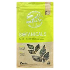 버니 보태니컬 에키네시아 썬플라워, 1개, 140g