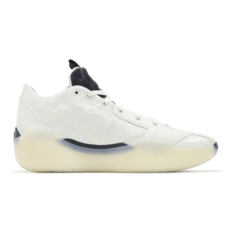 NIKE 耐吉 JORDAN 喬丹 男款 39 XXXIX PF 籃球鞋 FQ0214-104