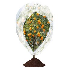 모노로지스 견고한 나무식물 보호망 흰색 100 x 120 cm 조임끈타입+지퍼타입, 1개