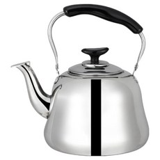 嘟嘟現代設計不鏽鋼水壺, 不鏽鋼, 1個, 1L